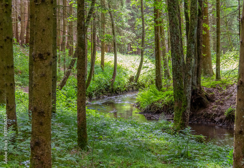 nature reserve in the Bavarian Forest