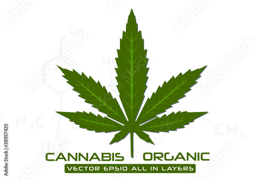 cannabis leaf