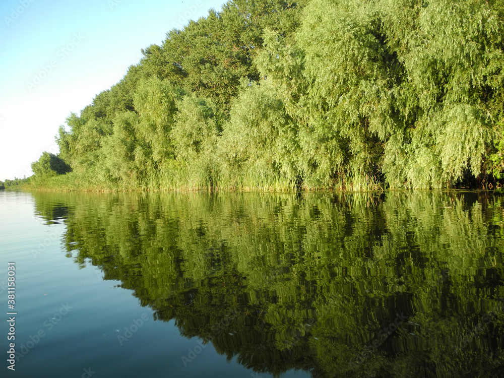 Fototapeta premium Wasserspiegelung bei Sulina