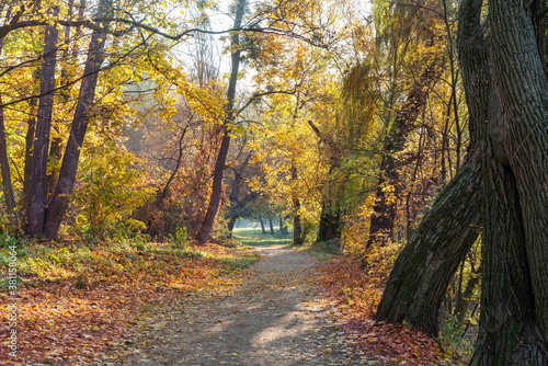 Footpath in a beautiful colorful autumn park