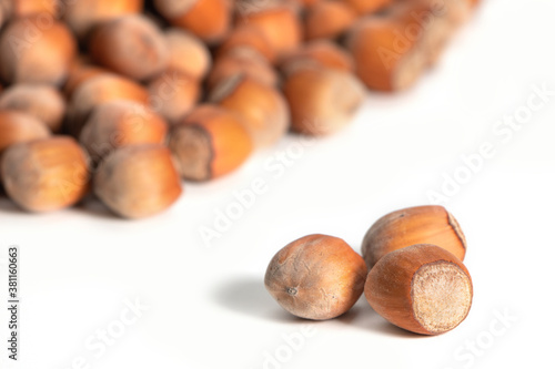 Hazelnut. Fresh organic filbert on white background. Nut macro. Collection.