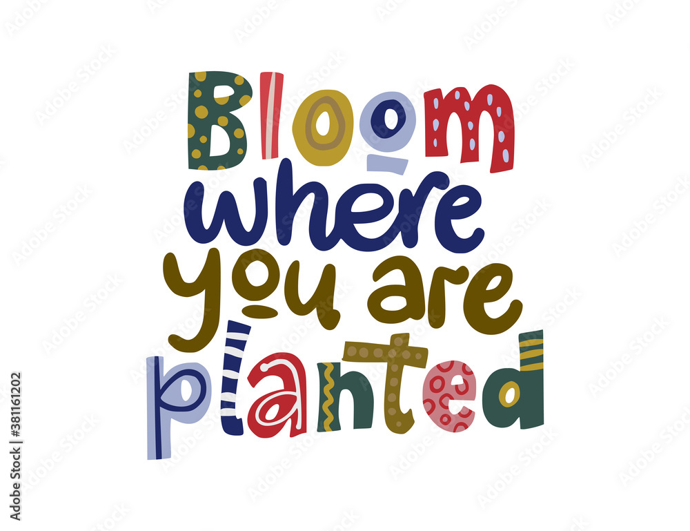 Bloom where you are planted. Hand drawn vector lettering quote. Positive text illustration for greeting card, poster and apparel shirt design. Bloom where you are planted. Hand drawn vector lettering quote. Positive text illustration for greeting card, poster and apparel shirt design.