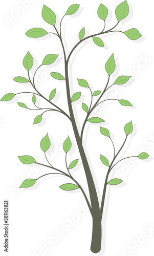 A tree with green leaves and a shadow on a white background