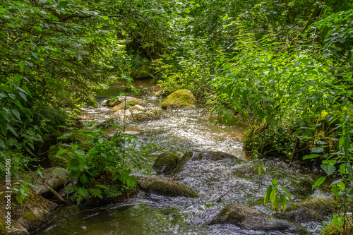 nature reserve in the Bavarian Forest