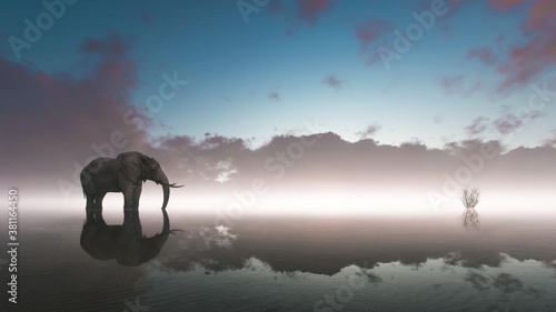 Fototapeta Naklejka Na Ścianę i Meble -  Lonely elephant stands on foggy lake at sunset
