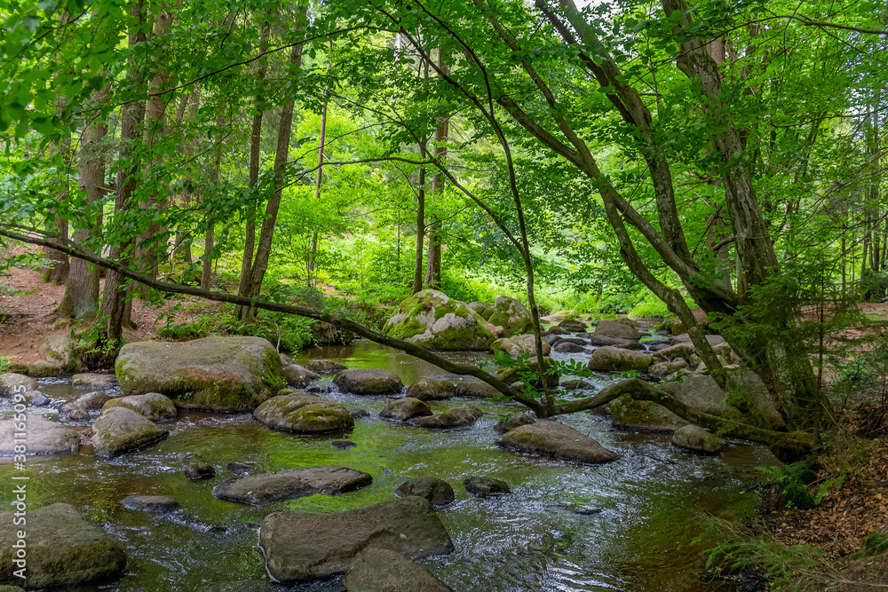 nature reserve in the Bavarian Forest nature reserve in the Bavarian Forest