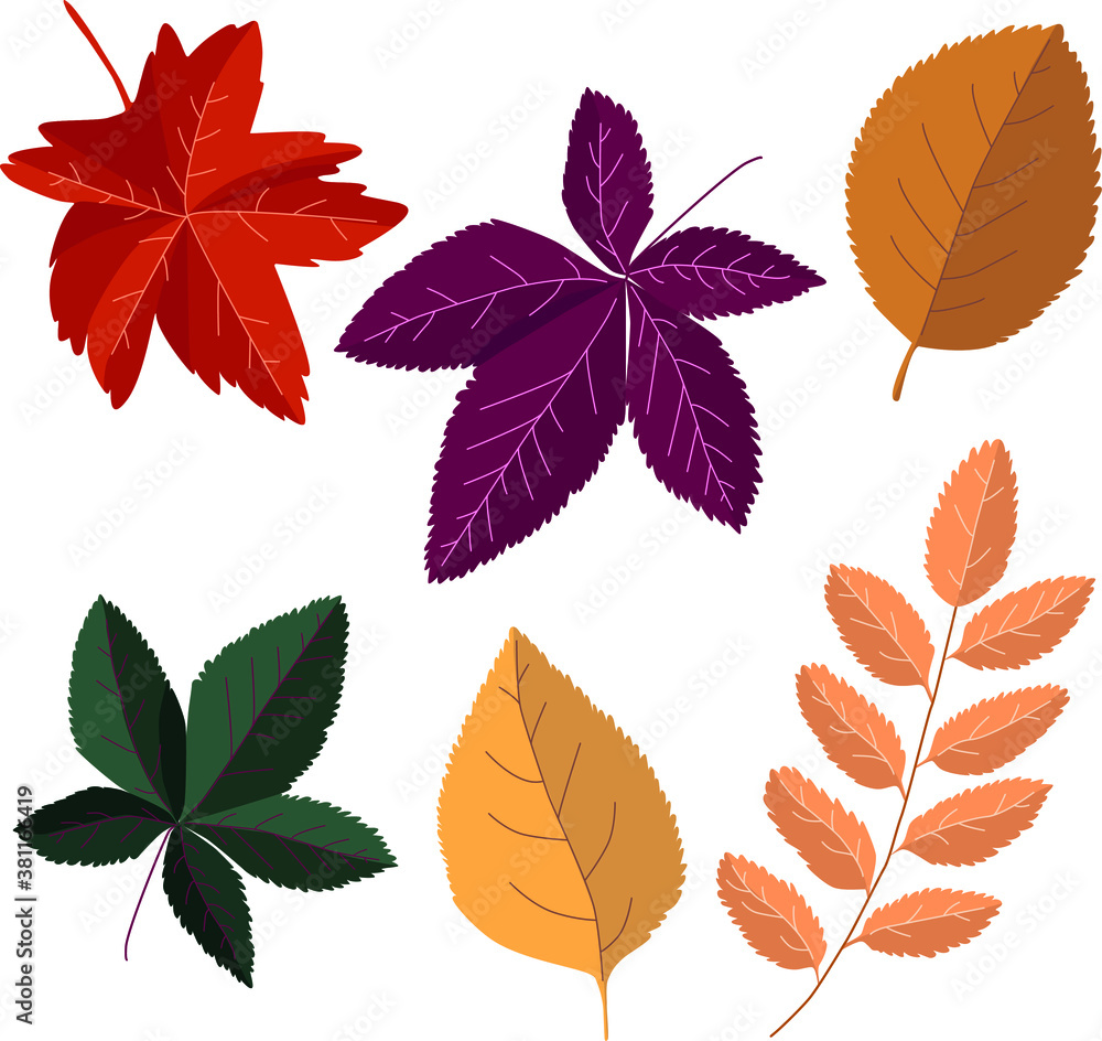 Obraz premium Vector set of different autumn leaves. The autumn palette. Hand drawn