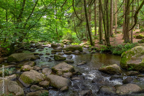 nature reserve in the Bavarian Forest