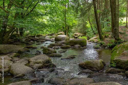 nature reserve in the Bavarian Forest © PRILL Mediendesign