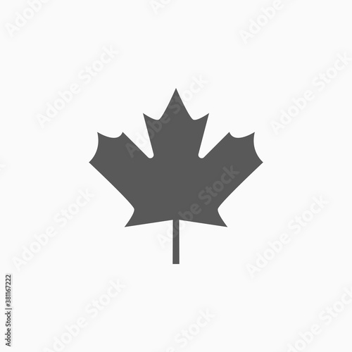 maple leaf icon  autumn leaf vector illustration