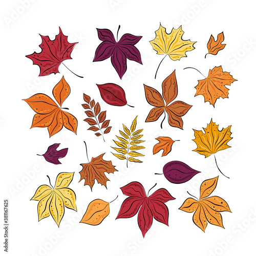 Set of colorful autumn leaves. Isolated over white background. Simple cartoon flat style. vector illustration. Hand drawing.