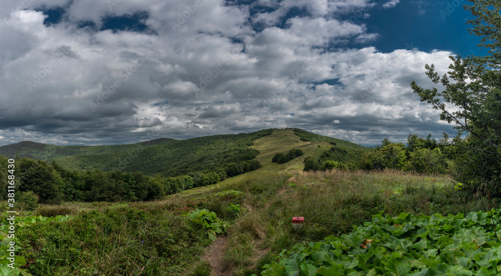 Obraz premium View from ridge of Poloniny national park in summer cloudy blue sky day