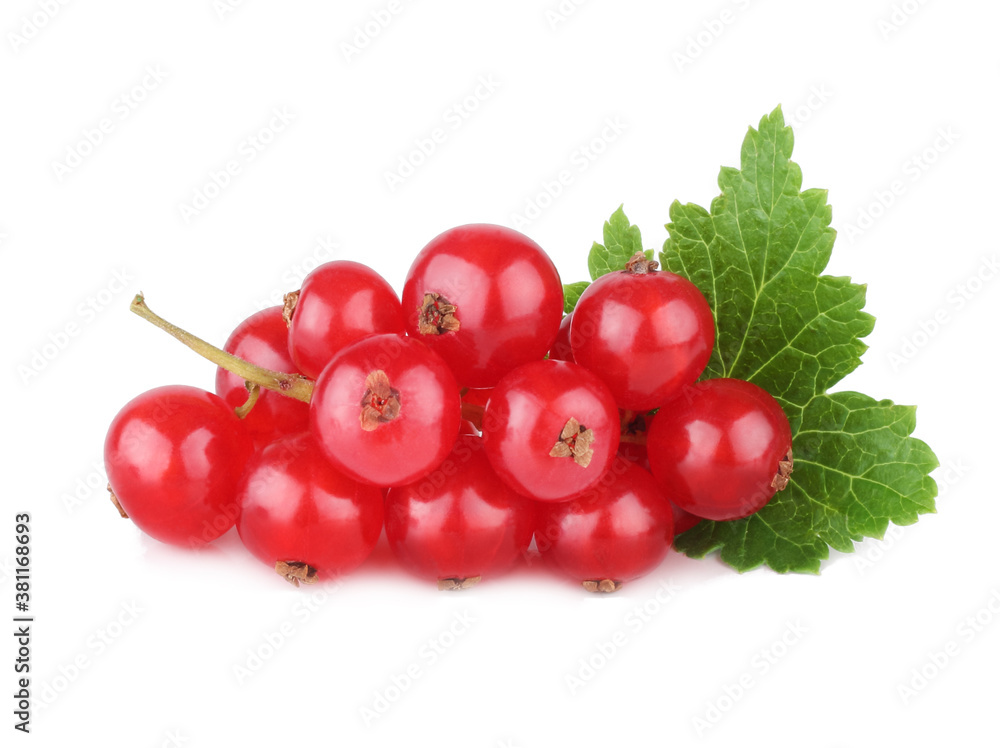 Currant berries isolated on white background Currant berries isolated on white background