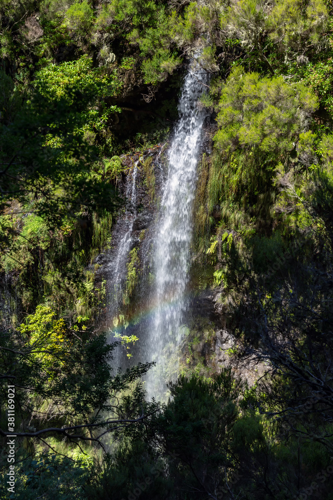 Obraz premium Waterfall at the 25 Fontes - hiking trail on the island of Madeira, Portugal
