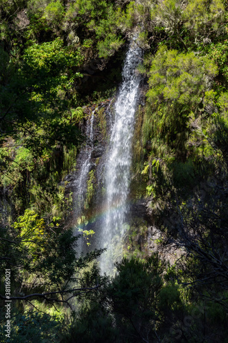 Waterfall at the 25 Fontes - hiking trail on the island of Madeira, Portugal © Christian Kaehler