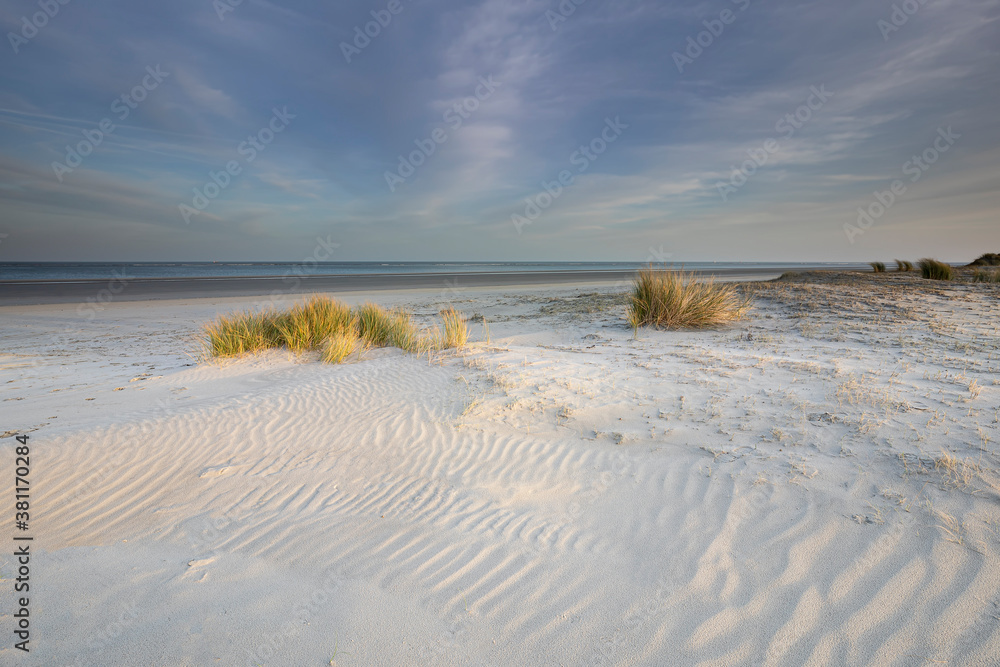 sand beach on north sea coast