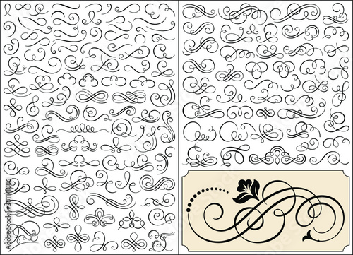 Calligraphic elements vector set 