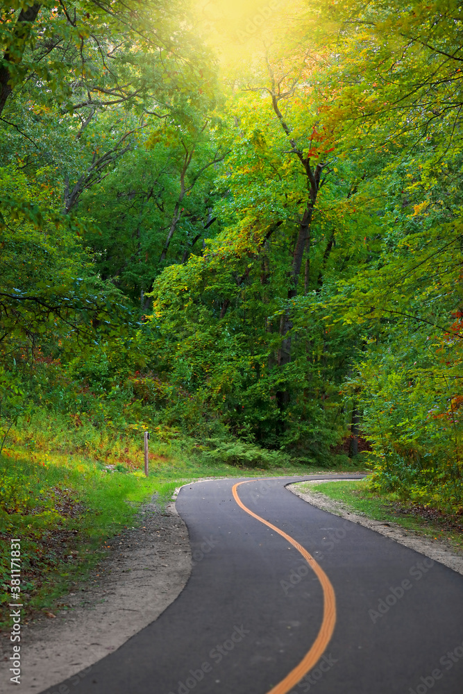 Lush green trees along scenic biking trail in rural Michigan Lush green trees along scenic biking trail in rural Michigan