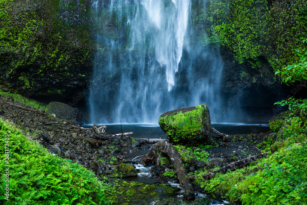 Fototapeta premium waterfall in the forest