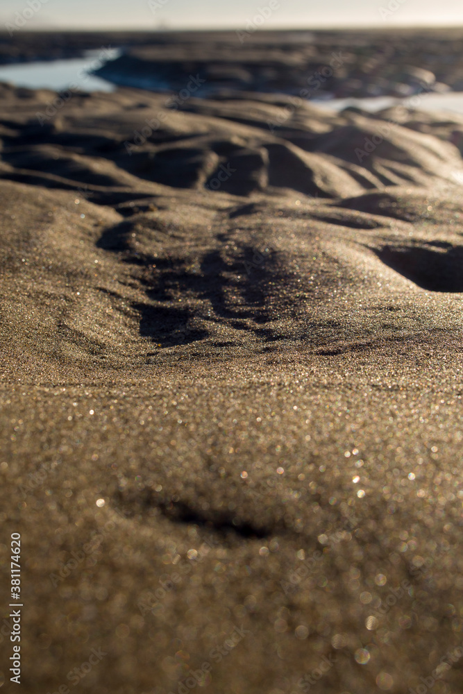 footsteps on the beach