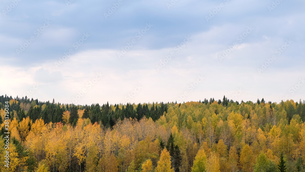 Fototapeta premium Autumn landscape of Karelian forest and sky