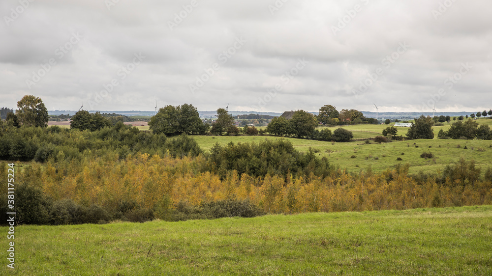Autumn in forest and land in Scania Sweden Autumn in forest and land in Scania Sweden