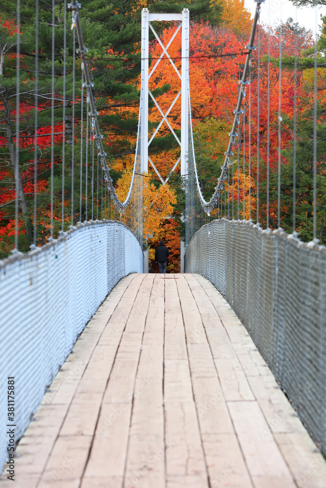Obraz premium Tall suspension bridge with fall foliage in rural Quebec 