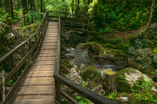 Wooden walking bridges and majestic waterfalls in water land of Myra Valley. Lower Austria  9th July 2020.