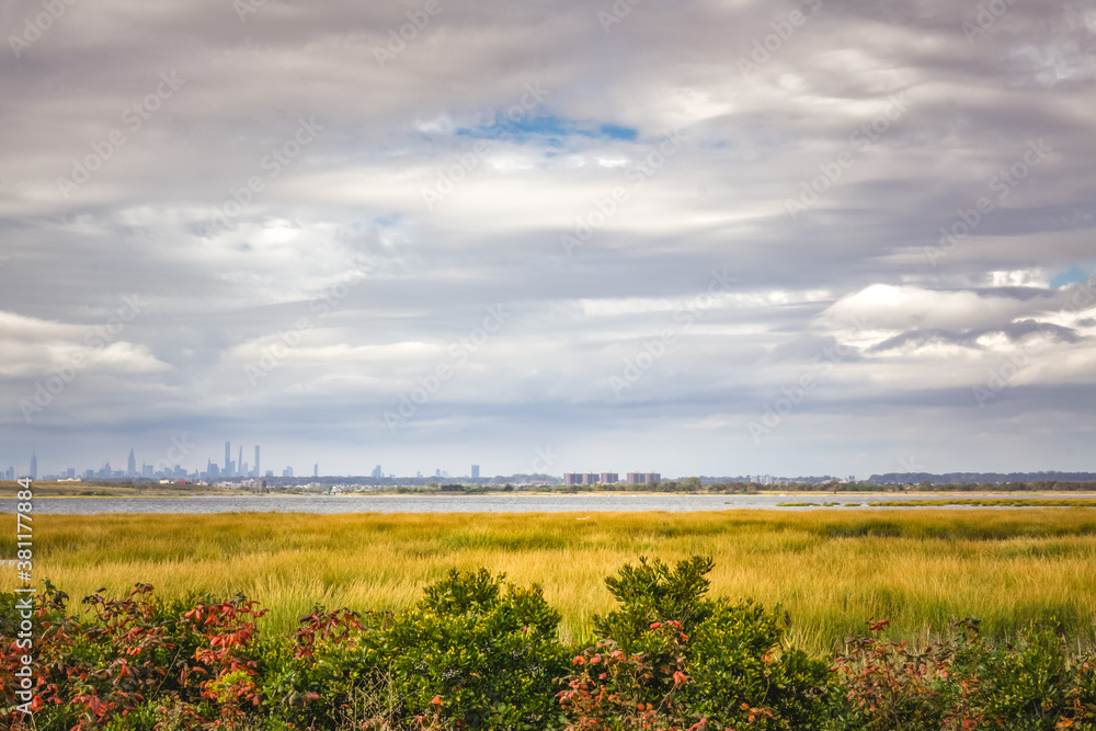 Tall grass field with and bushes over pond with nyc buildings in the background