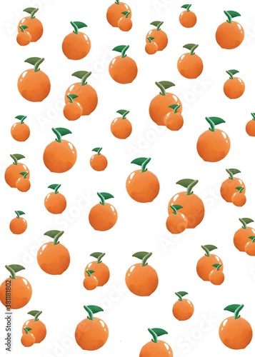 vector background  orange fruit