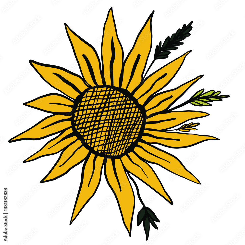 Fototapeta premium Sunflower digital design. Vector illustration.
