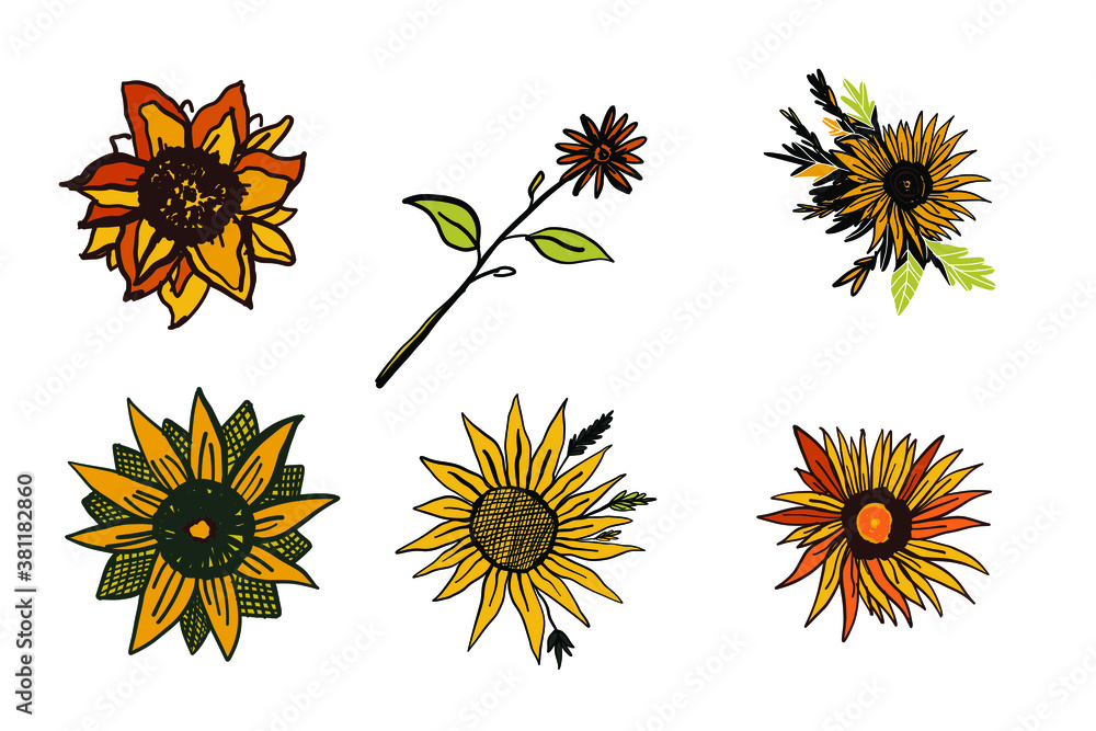 Sunflower digital design. Vector illustration. Sunflower digital design. Vector illustration.