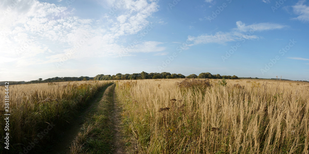Autumn walks through forests and fields, beautiful panorama. Autumn walks through forests and fields, beautiful panorama.