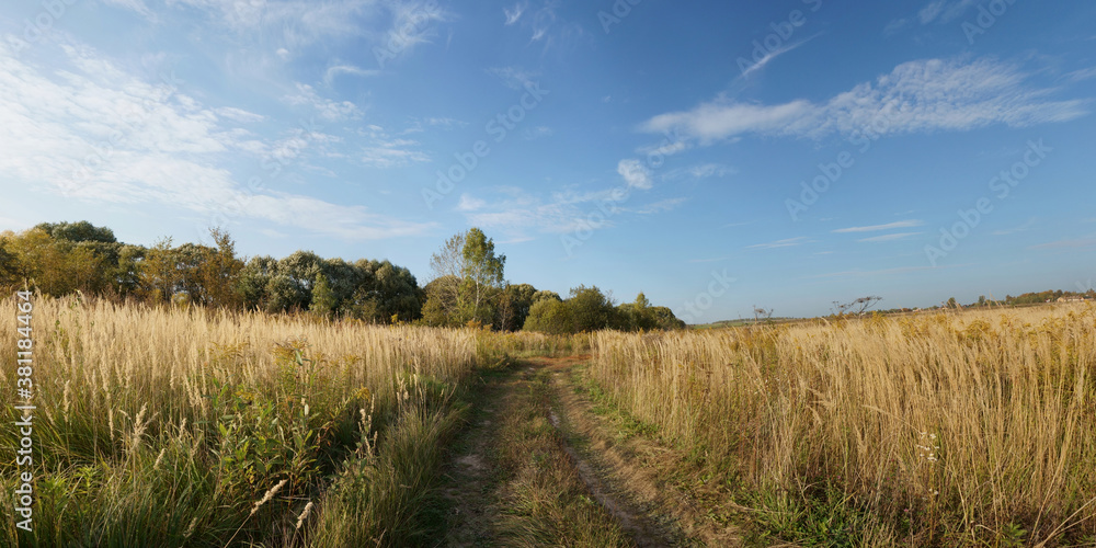 Autumn walks through forests and fields, beautiful panorama. Autumn walks through forests and fields, beautiful panorama.