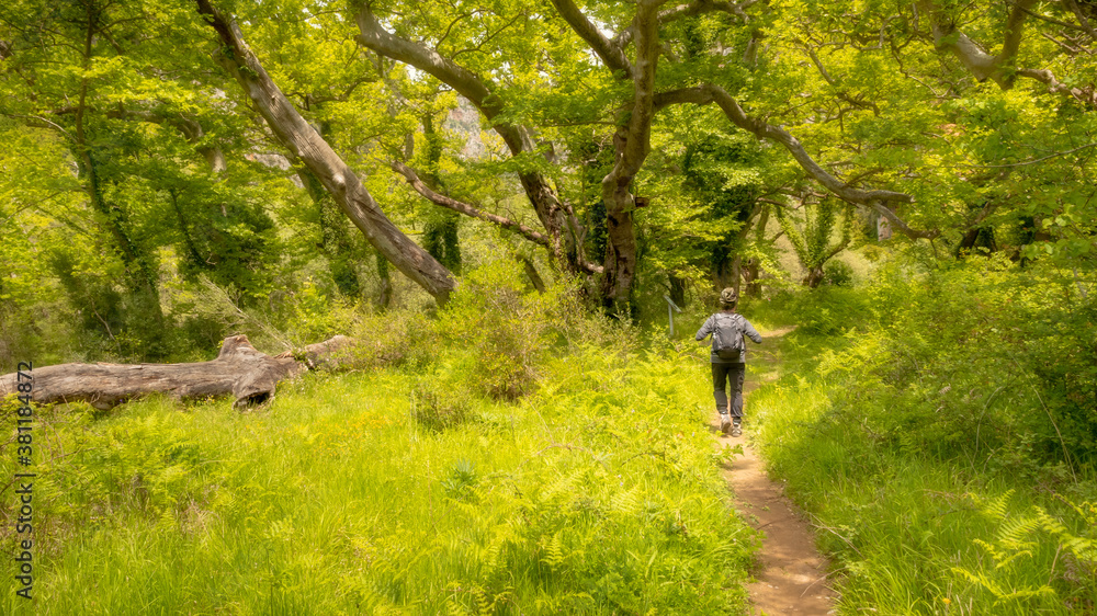 Fototapeta premium Woman with a backpack hiking in Zagoria Nature Reserve in Greece