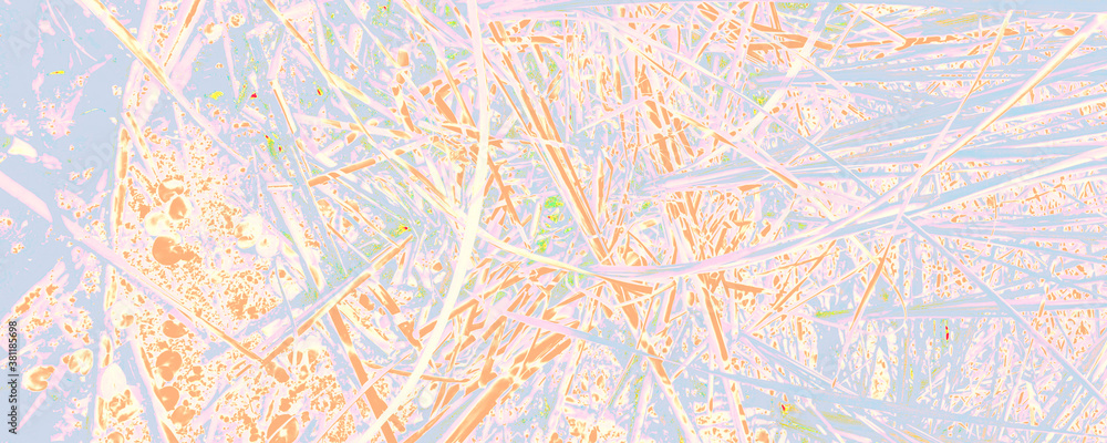 Orange Flora Decoration. Pink Flower Image. Blue Woman Design. Bright Trendy Wallpaper. White Amazing Wallpaper. Pastel Summer Decoration. Pastel Abstract Pattern. Orange Flora Decoration. Pink Flower Image. Blue Woman Design. Bright Trendy Wallpaper. White Amazing Wallpaper. Pastel Summer Decoration. Pastel Abstract Pattern.