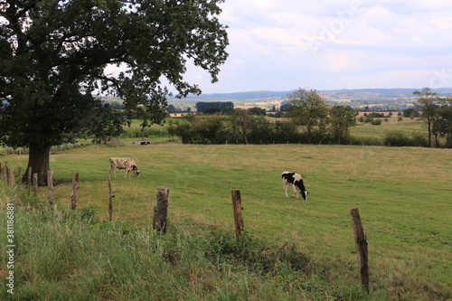 Blick auf die Naturlandschaft bei Fröndenberg an Ruhr photo