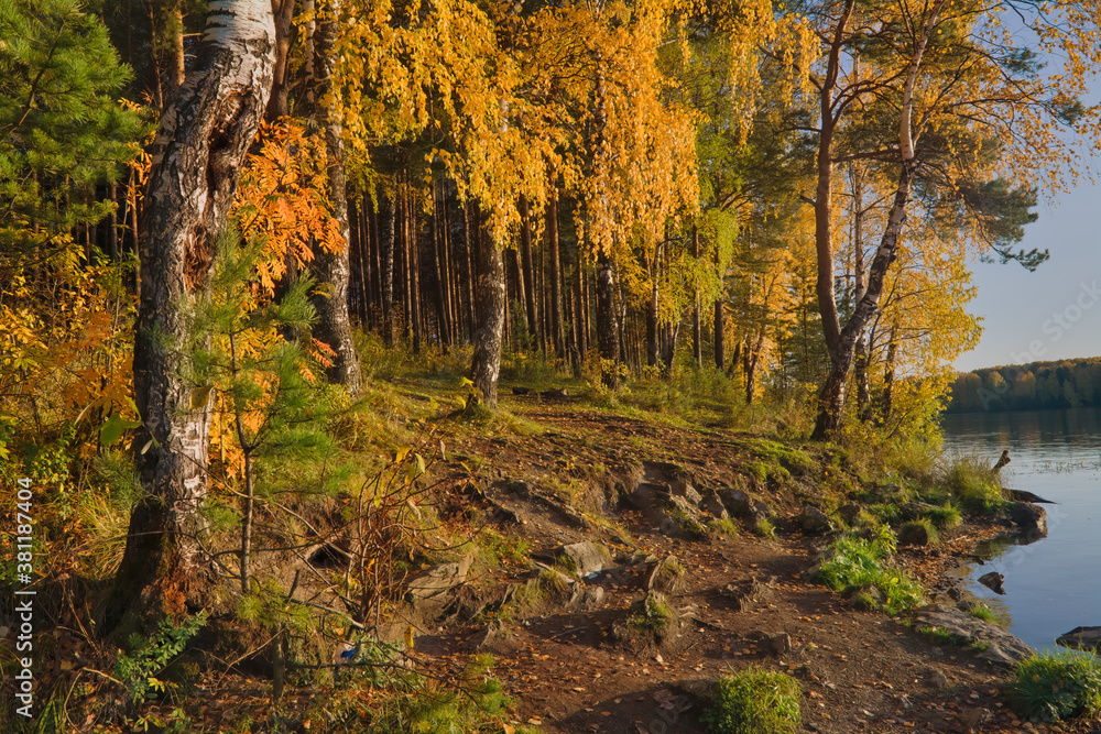 Fototapeta premium Autumn landscape, forest trees are reflected in calm river water against a background of blue sky and white clouds.