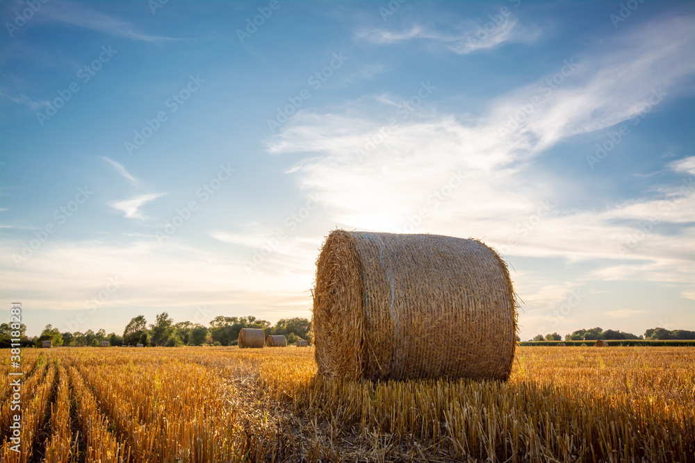 Stack of straw on the field in the countryside, warm sunny weather in late summer. Concept of farmland, harvesting, agriculture.