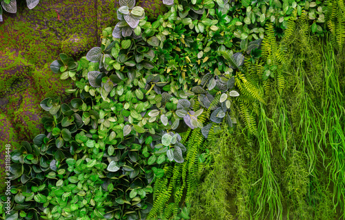 Background of green plants from plastic. Artificial decorative texture.