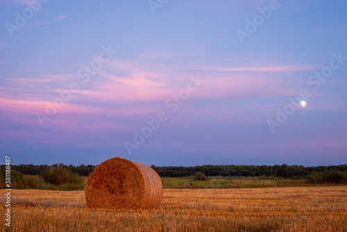 One straw bale on a dry agricultural field in the evening in august. Dark blue and violet sky with a white circle of the moon on it.