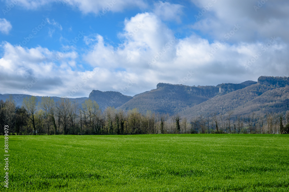 Spring landscape with green grass (Vall d'en Bas, Catalonia, Olot, Spain)