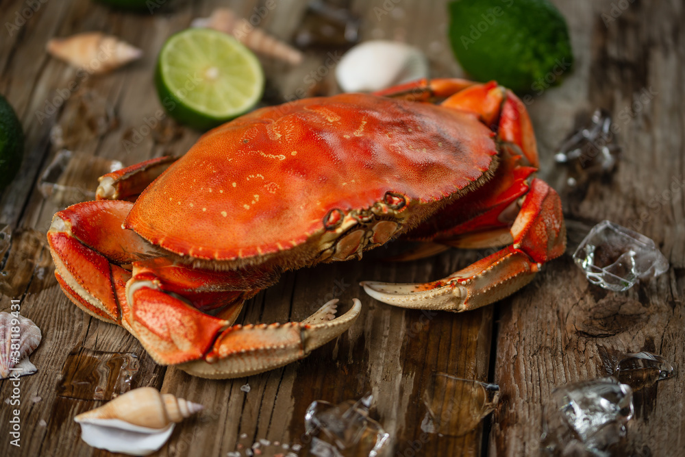 Big cooked king crab on wooden background. Lime, seashells and ice cube for decoration photo. Seafood concept. Close-up. Healthy meal. Restaurant dish. Big cooked king crab on wooden background. Lime, seashells and ice cube for decoration photo. Seafood concept. Close-up. Healthy meal. Restaurant dish.
