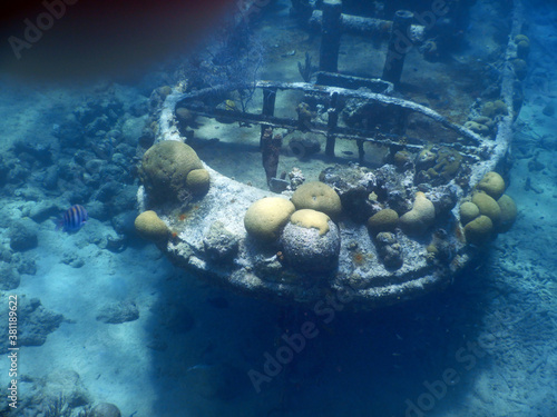 Wallpaper Mural unterwasser, sea, water, fish, Torontodigital.ca