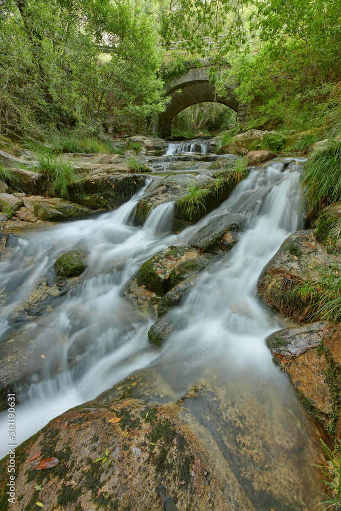 Small river that passes under an old stone bridge in the middle of a forest.