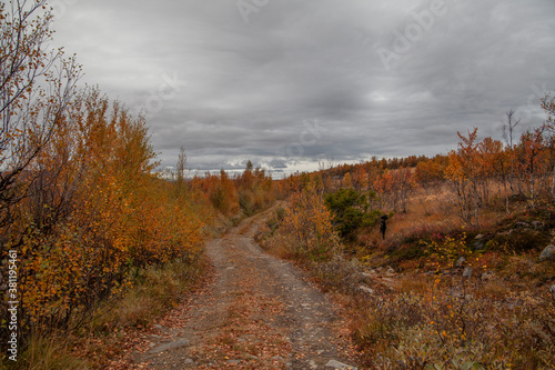 Old mountain road runs through a colorful autumn landscape