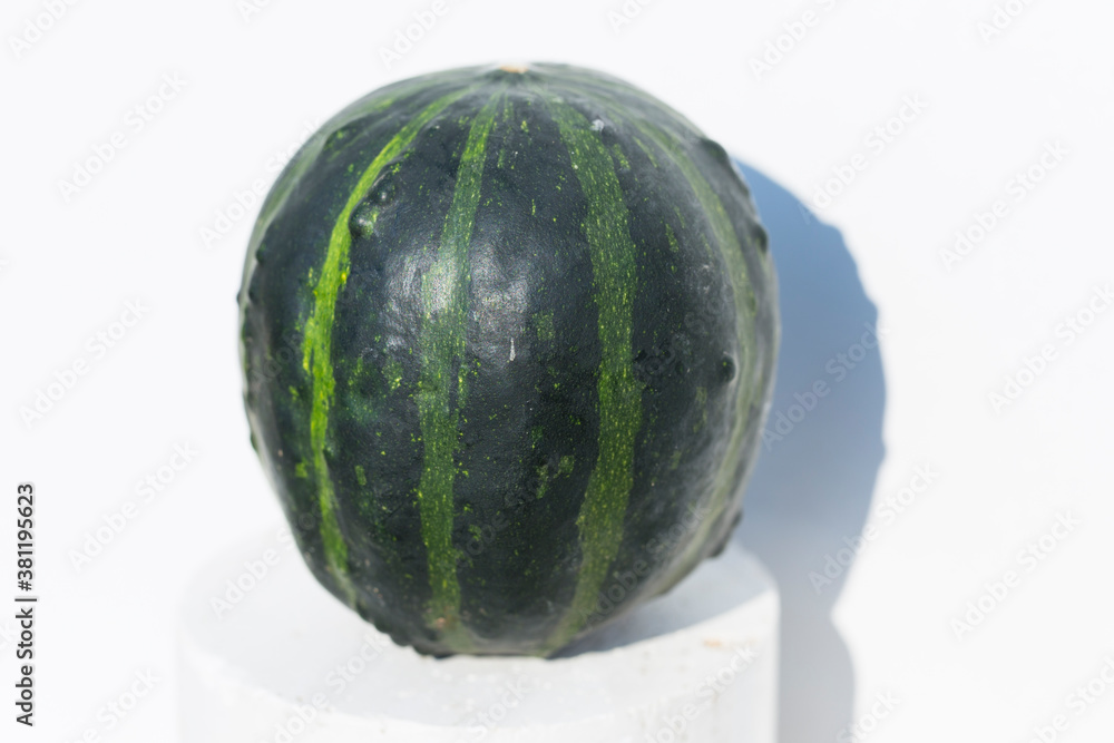 Decorative Pumpkin Mix Open Pollinated Seeds NON GMO on a white background. Halloween. Decorative Pumpkin Mix Open Pollinated Seeds NON GMO on a white background. Halloween.