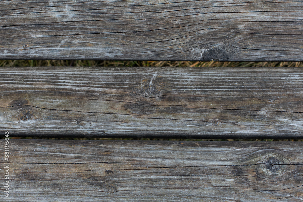 The texture of an old narrow raw wood board. Textured effect, weathered scratched gray wood with signs of aging, background backdrop The texture of an old narrow raw wood board. Textured effect, weathered scratched gray wood with signs of aging, background backdrop