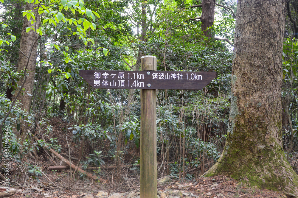 Tsukuba, Japan - April 30: A wooden signpost in the forest at Mount Tsukuba showing ‘Miyukigahara’ and 'Male mountain peak' to the left and ‘Tsukuba mountain shrine’ to the right. (April 30, 2018) Tsukuba, Japan - April 30: A wooden signpost in the forest at Mount Tsukuba showing ‘Miyukigahara’ and 'Male mountain peak' to the left and ‘Tsukuba mountain shrine’ to the right. (April 30, 2018)