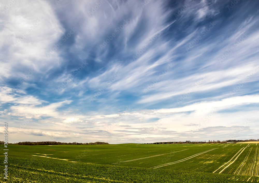 Rural landscape at spring, nature background